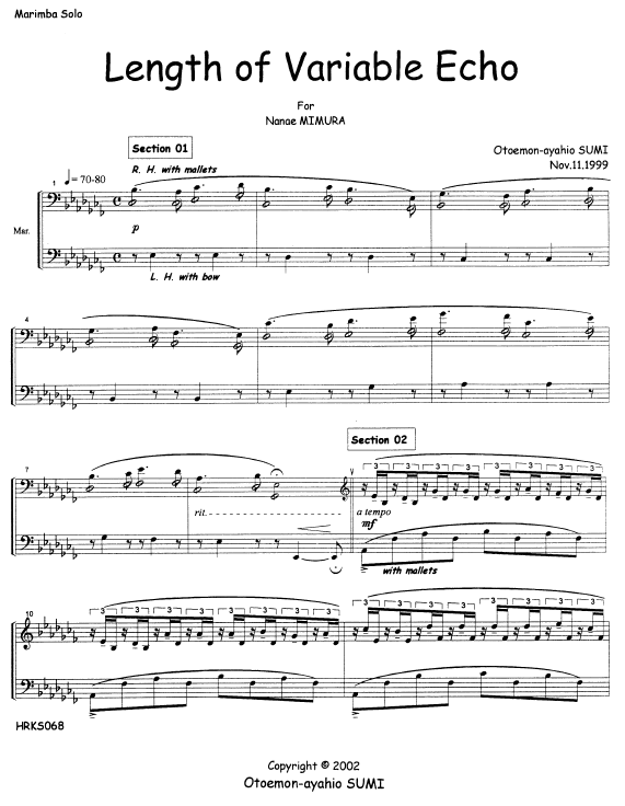 Length of Variable Echo